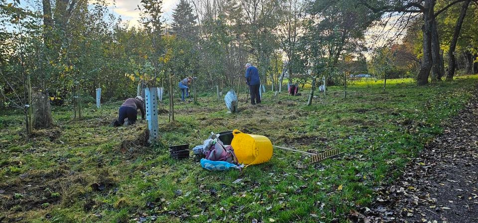 Tidy up session @ The Orchard, Davie Park - BiodiversityBlair